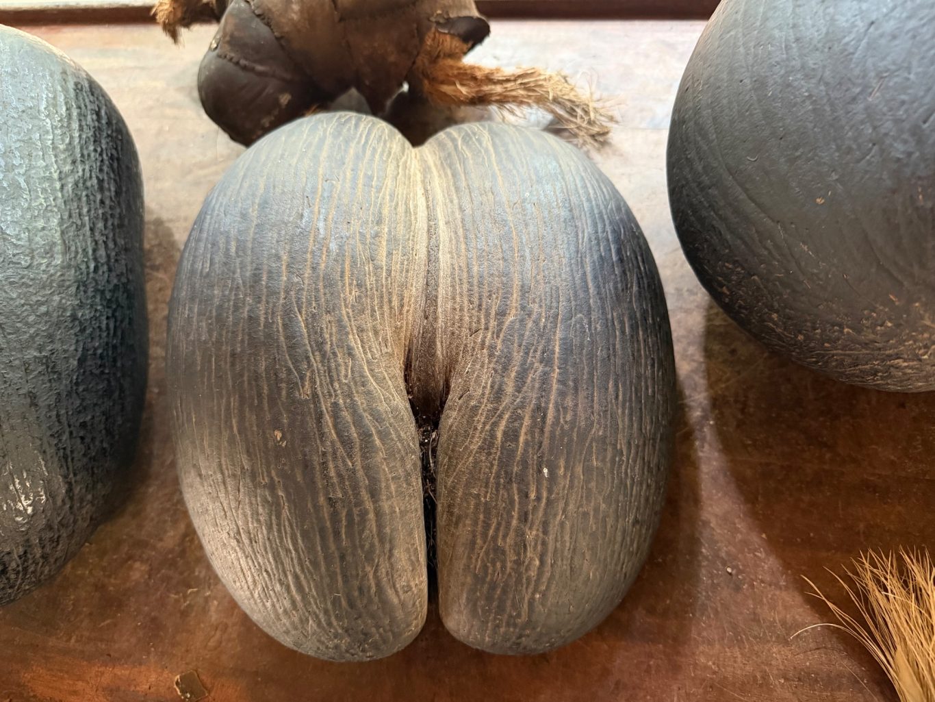Coco de Mer